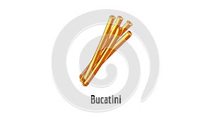 Bucatini icon animation