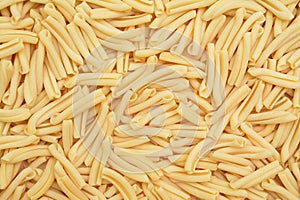 Bucatini Italian pasta