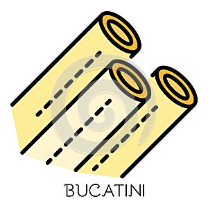 Bucatini pasta icon color outline vector