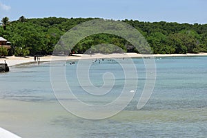 Buccoo Beach or Buccoo Bay, Tobago, West Indies
