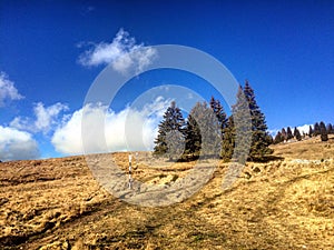 Bucegi Mountains in a sunny autumn day