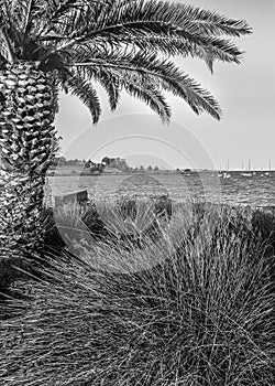 Buceo Beach, Montevideo, Uruguay