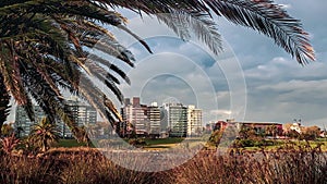 Buceo Port Panoramic Landscape, Montevideo, Uruguay