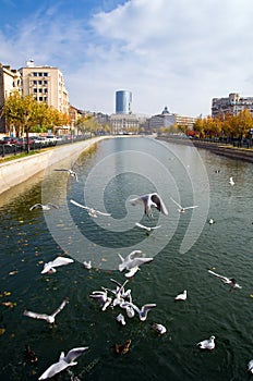 Bucharest - Autumn view
