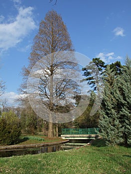 Bucharest Botanic Garden
