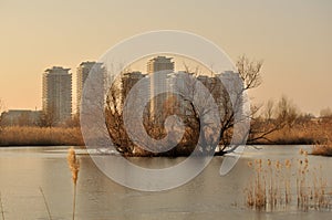 Bucharest natural park