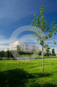 Bucharest parks and gardens