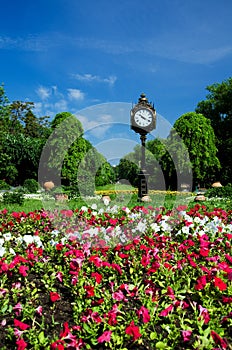 Bucharest parks and gardens - Cismigiu