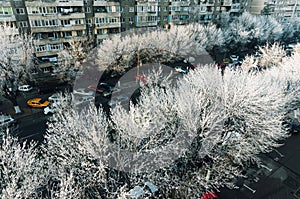 Bucharest, Romania with frost