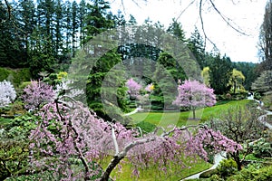 Buchart Gardens Victoria BC