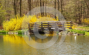 Buck Garden in New Jersay