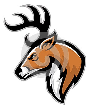 Buck head mascot