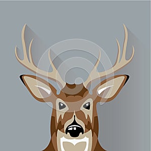 Buck head vector photo