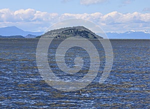 Buck Island Spring Waves on the Lake