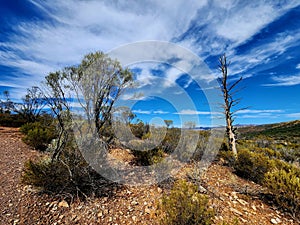 Buckaringa Lookout, Flinders Ranges