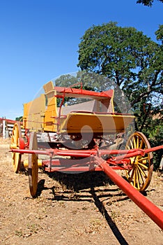 Buckboard and Oak Trees