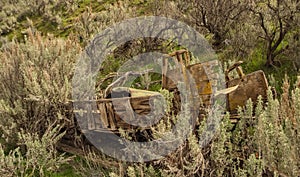 Buckboard Wagon Lost in the Sagebrush