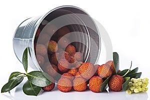 Bucket with arbutus unedo fruits over white