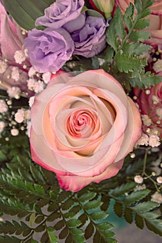 Vedro z kvety ružový fialový ruže 