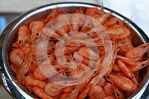 Bucket of fresh boiled pink small shrimps close up