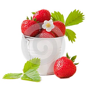 Bucket with fresh strawberry on the isolated white