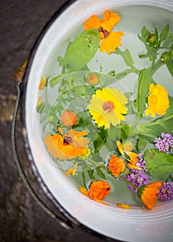 Bucket full of pure water and flowers