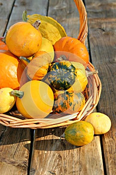 Bucket of gourds