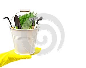 Bucket with grass and garden hand tools standing on a gloved hand