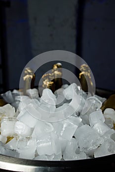 Bucket with ice and champagne bottles