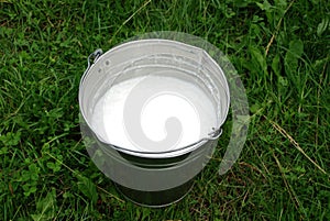 Bucket of milk