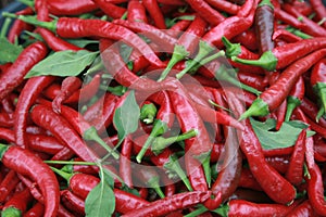 Red hot chili peppers