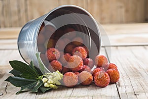 Bucket with ripe arbutus unedo fruits