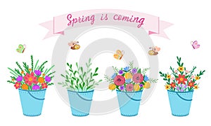 bucket set with flowers , spring is coming. Vector Illustration for printing, backgrounds, covers and packaging. Image