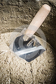 A bucket with a solution and a trowel