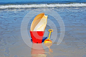 Bucket spade large cone shell on the beach