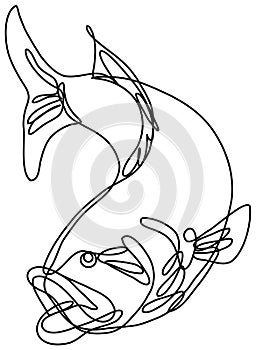 Bucketmouth Bass Jumping Down Continuous Line Drawing