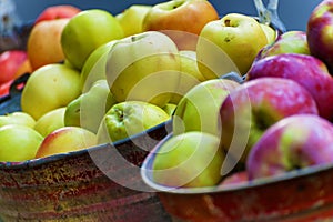 Buckets of apples on display