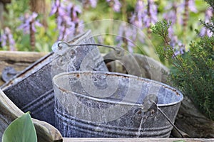 Buckets in a Wheel Barrow