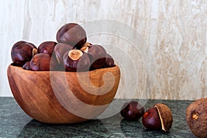 Buckeye Chestnut in wooden bowl on marble surface. Side View formation of Fresh conkers