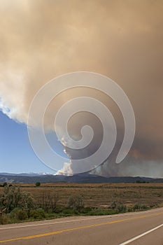 Buckhorn gulch forest fire