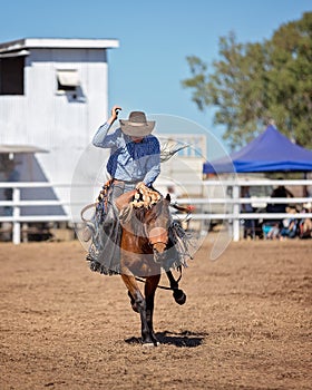 Bucking Bronc Horse At Country Rodeo