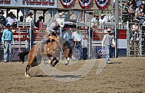 Bucking Bronco and cowboy