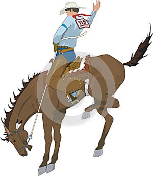 Bucking Bronco Vector Illustration