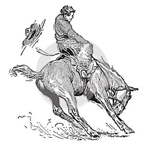 Bucking Bronco, vintage illustration