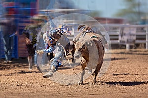 Bucking Bull Riding At A Country Rodeo