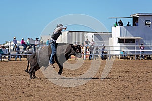 Bucking Bull Riding At A Country Rodeo