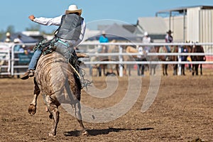 Bucking Bull Riding At A Country Rodeo