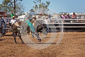 Bucking Bull Riding At A Country Rodeo