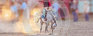 Bucking Horse Riding Rodeo Competition