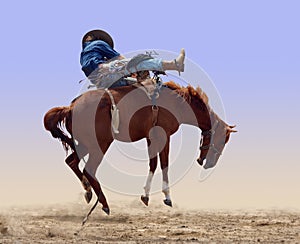 Bucking Rodeo Horse